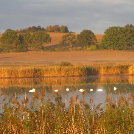 Dom wakacyjny Schittering De Zee Sellin (Rugen)