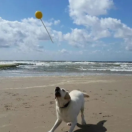 Schittering De Zee *